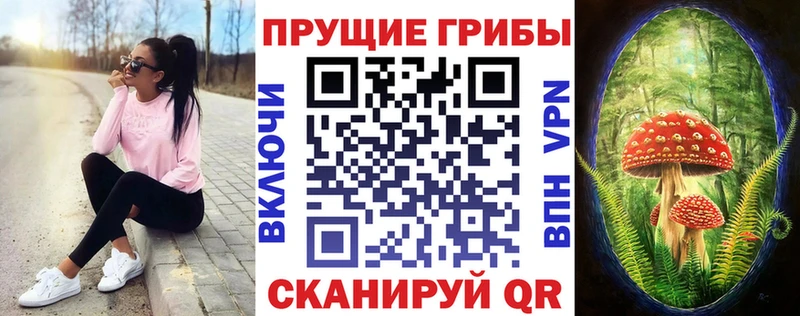 Псилоцибиновые грибы GOLDEN TEACHER  сколько стоит  Грязи 